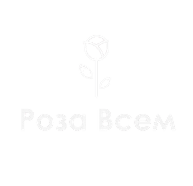 Роза Всем
